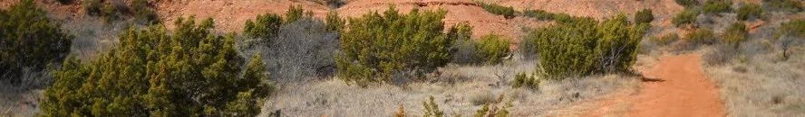 "The Old Wagon Road"
